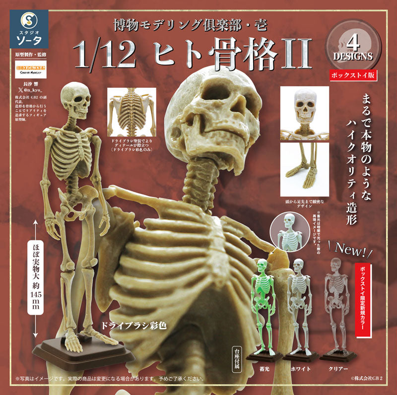 SPECIAL ORDER So-Ta - Hakubutsu Modeling Club - Human Skeleton II 1/12 [Box of 4] [JP]