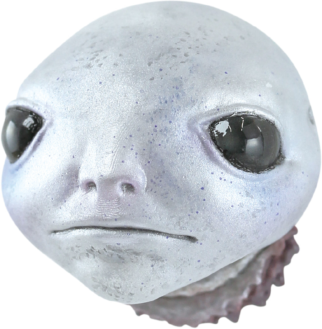 SPECIAL ORDER SO-TA - Elden Ring Magnet Mascot [EXCLUSIVE] [Box of 7]