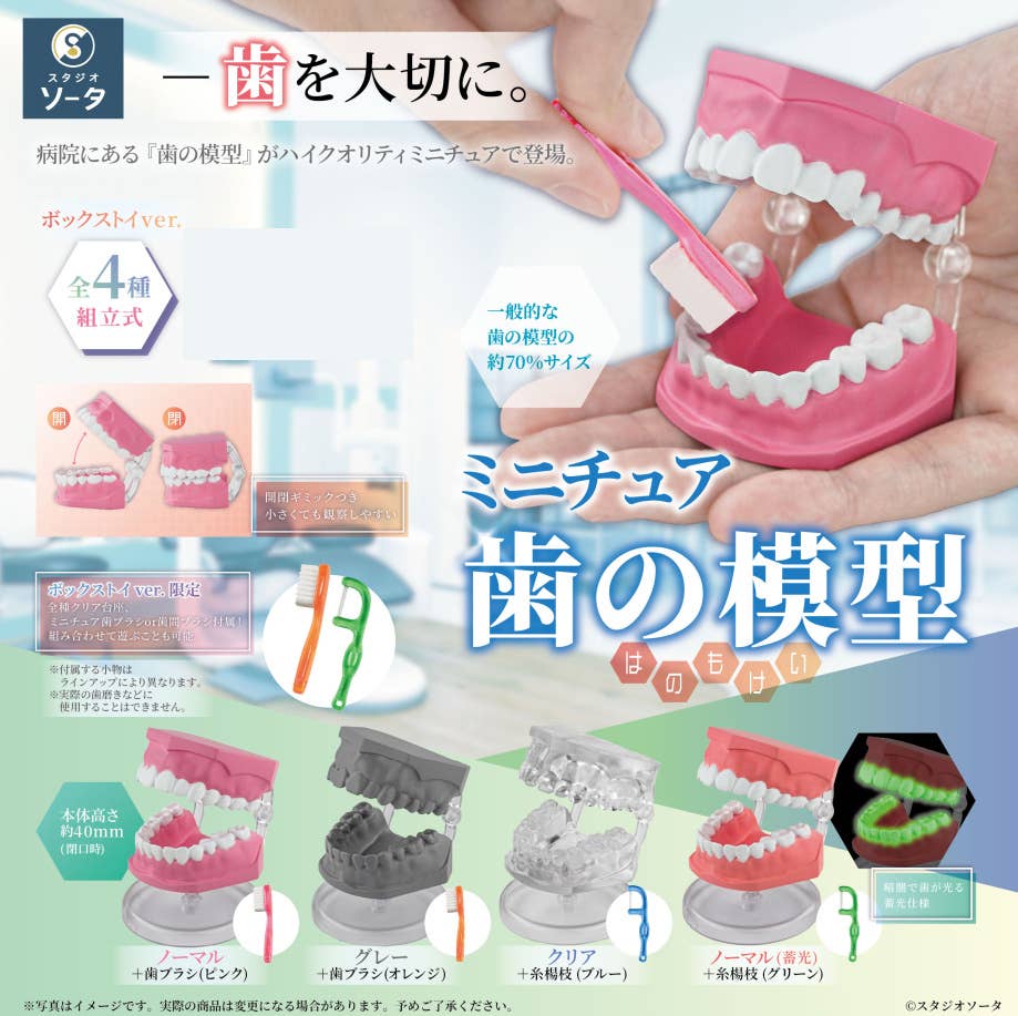SPECIAL ORDER SO-TA - Miniature Tooth Model [JP] [Box of 4]
