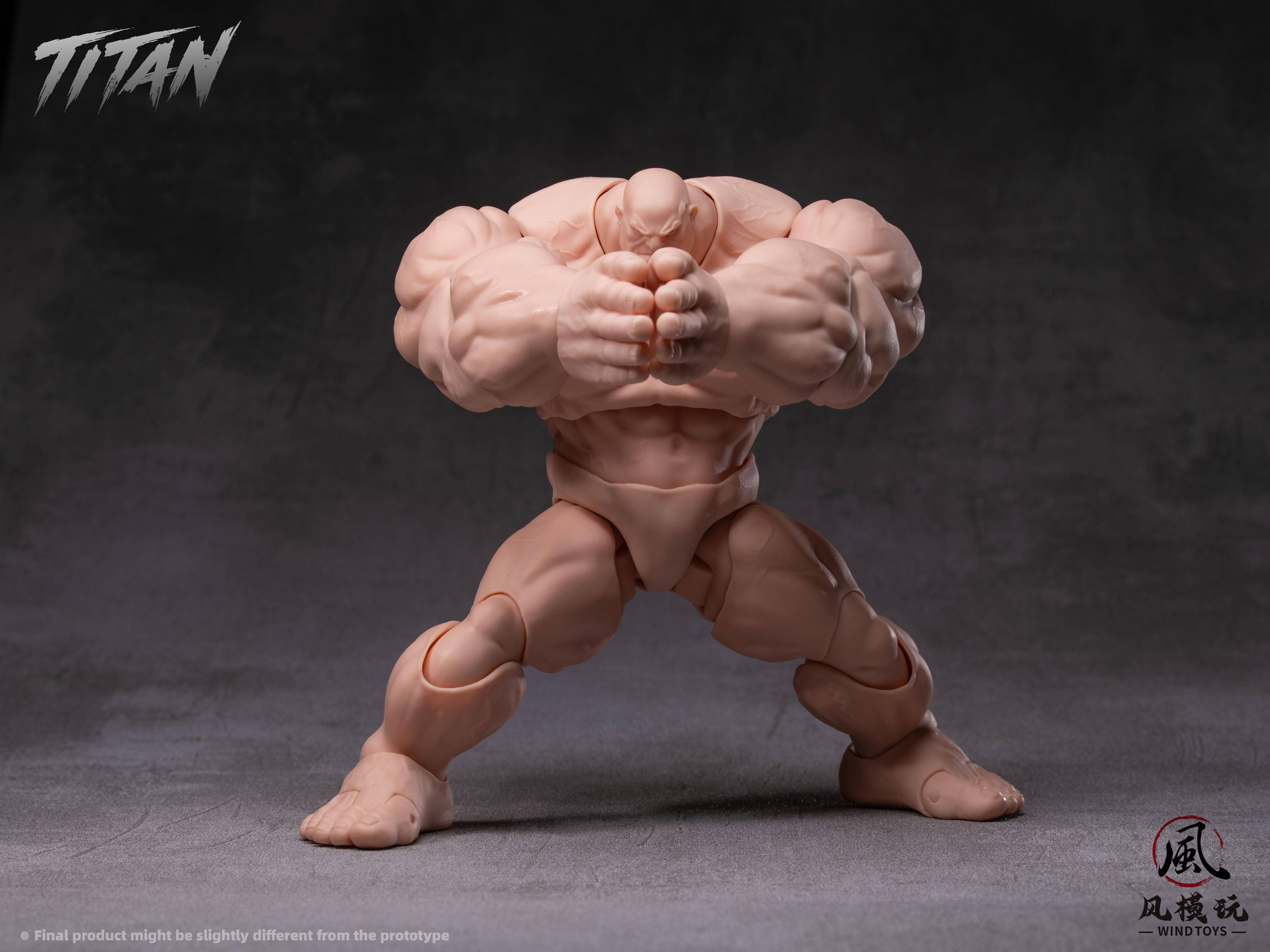 SPECIAL ORDER Wind Toys - FMW009 - Super Action Figure Body Titan - Normal Skin 1/12 [JP]