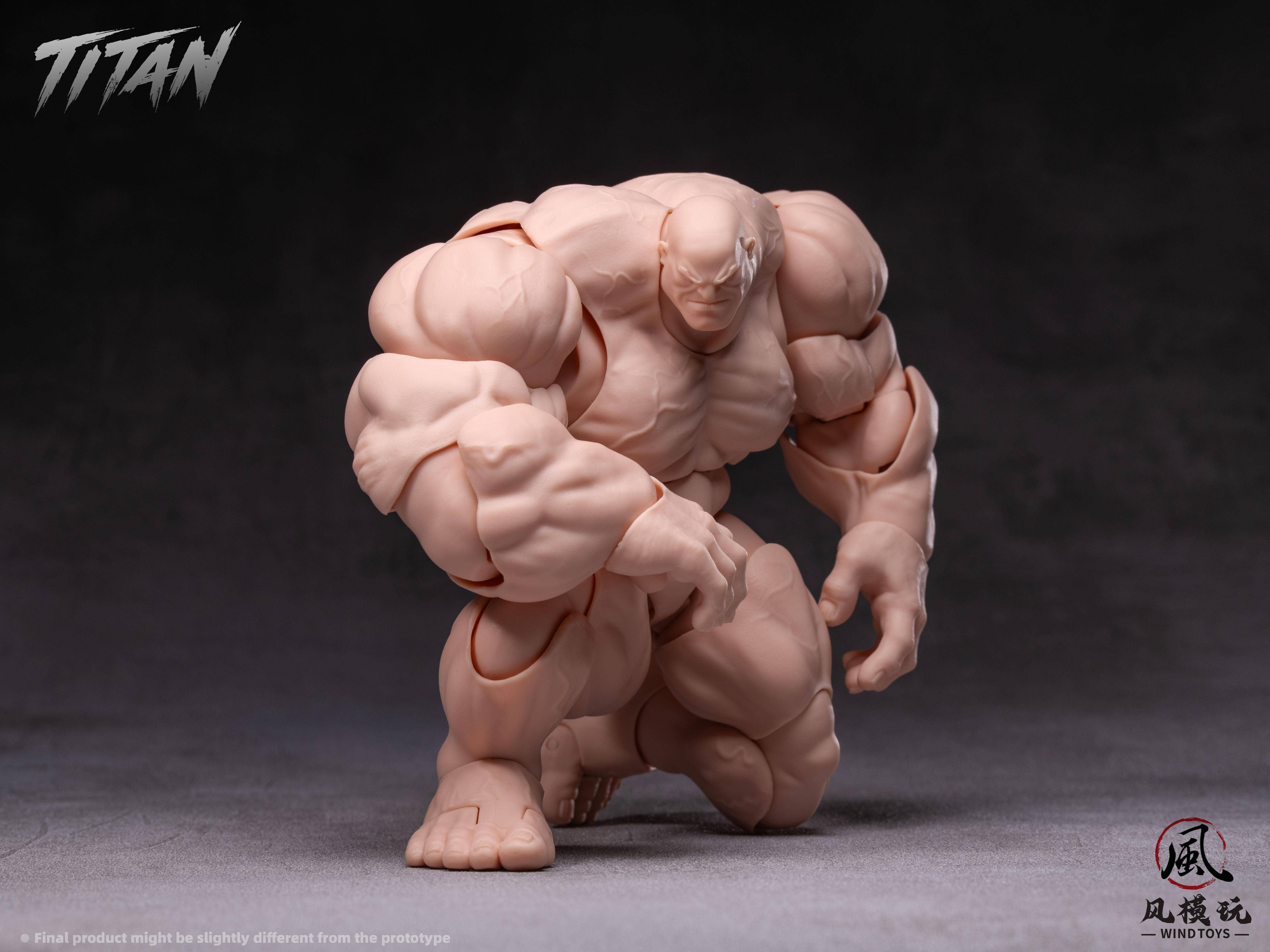 SPECIAL ORDER Wind Toys - FMW009 - Super Action Figure Body Titan - Normal Skin 1/12 [JP]