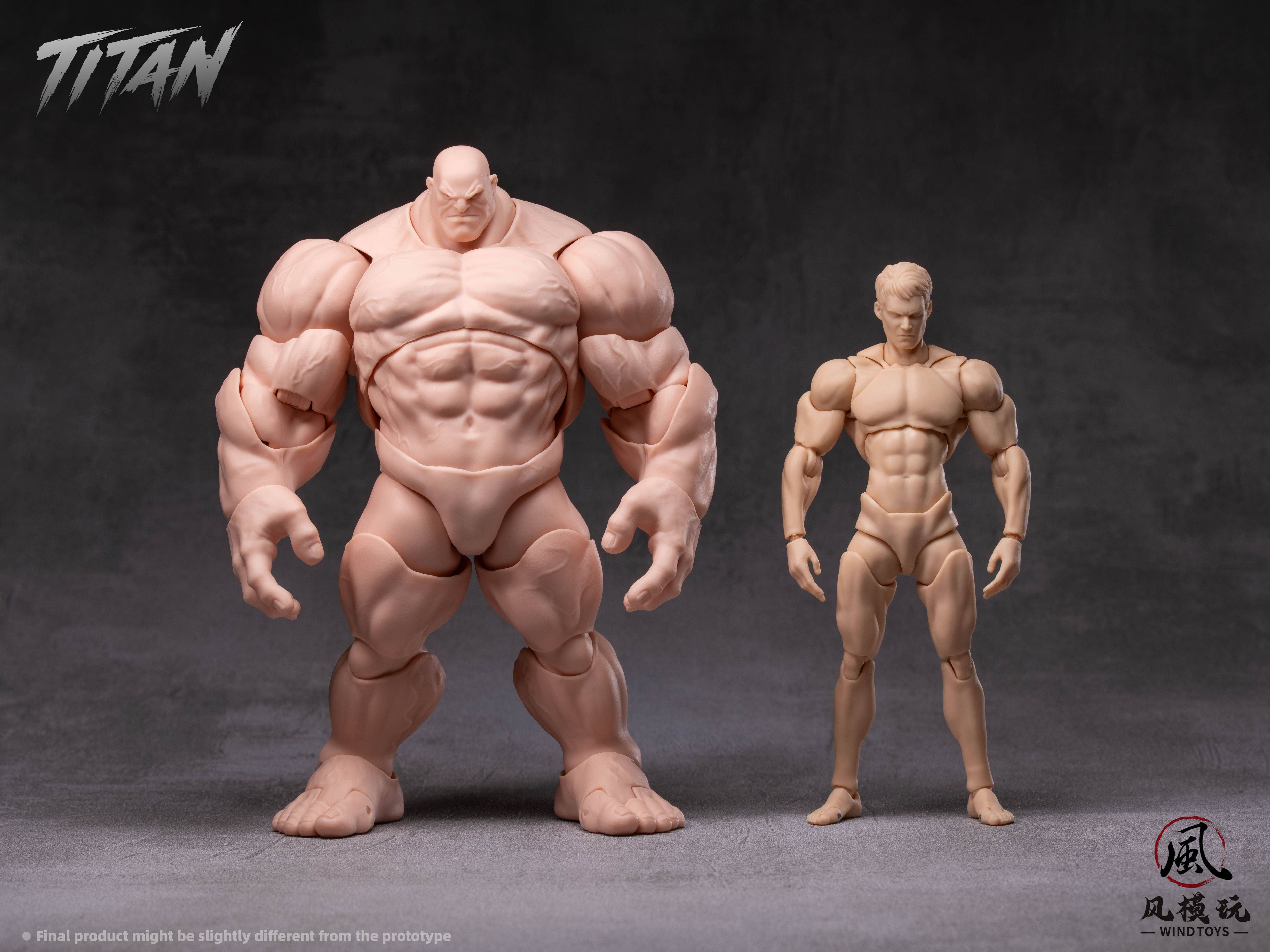 SPECIAL ORDER Wind Toys - FMW009 - Super Action Figure Body Titan - Normal Skin 1/12 [JP]