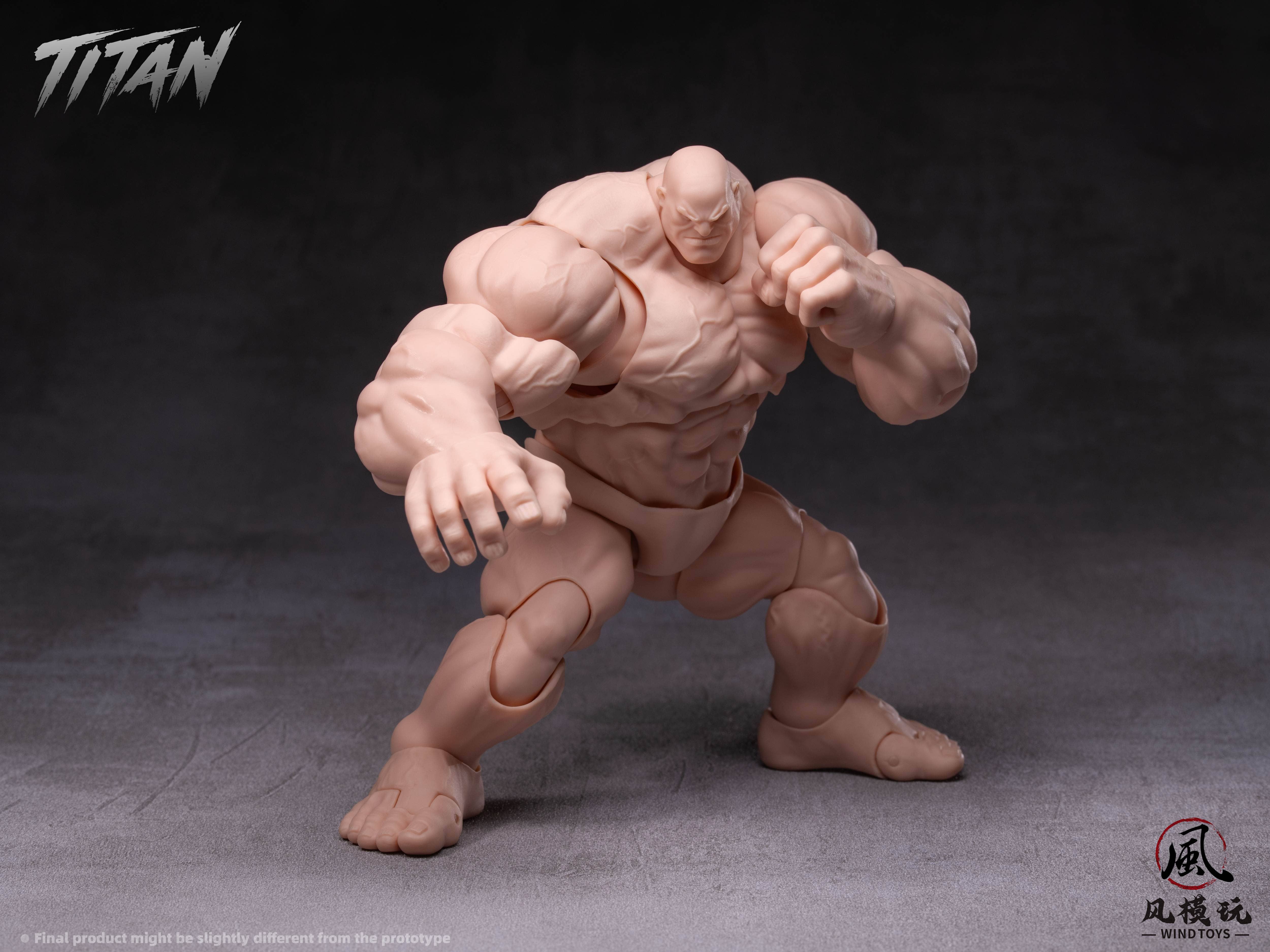 SPECIAL ORDER Wind Toys - FMW009 - Super Action Figure Body Titan - Normal Skin 1/12 [JP]