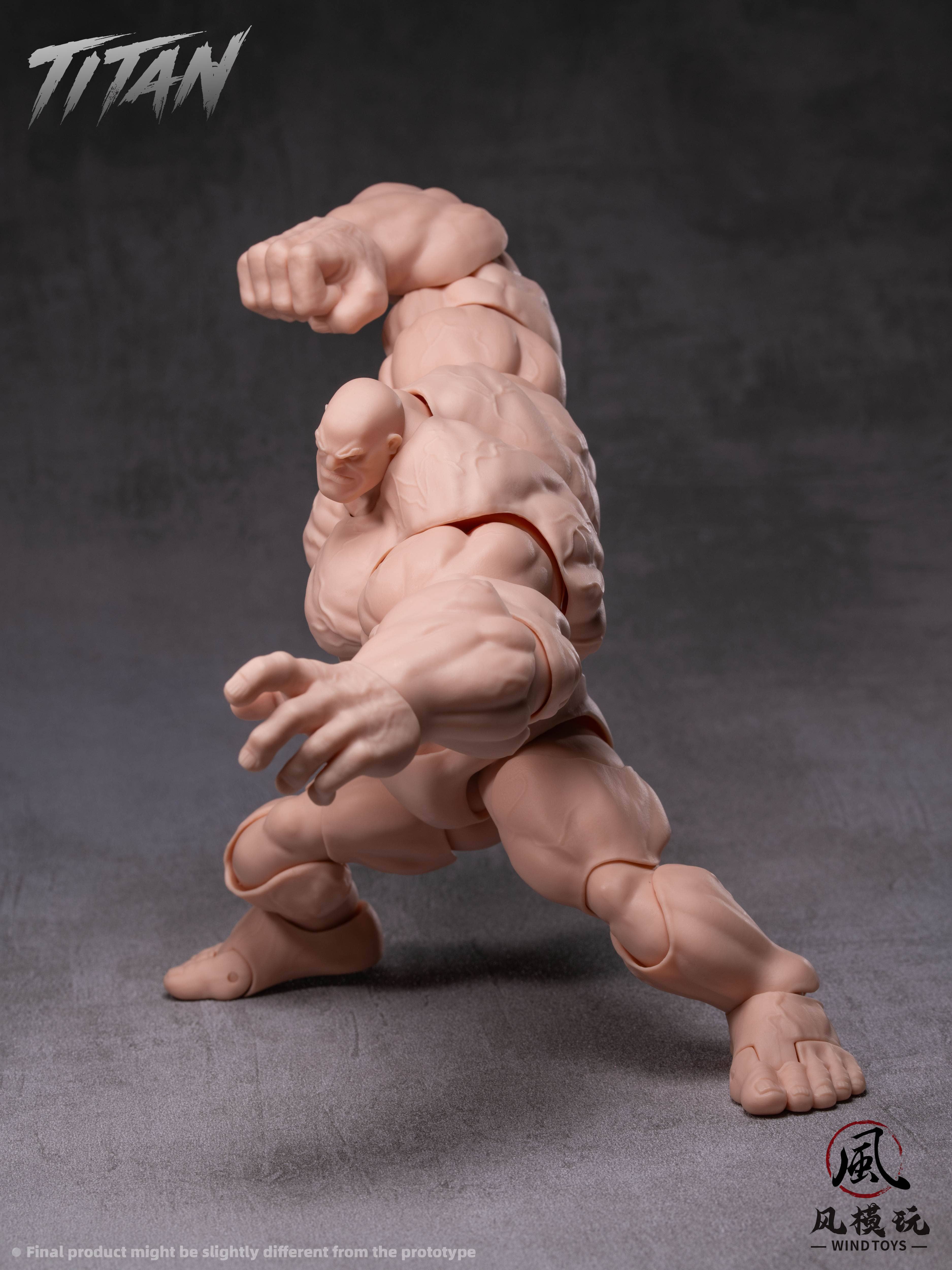 SPECIAL ORDER Wind Toys - FMW009 - Super Action Figure Body Titan - Normal Skin 1/12 [JP]