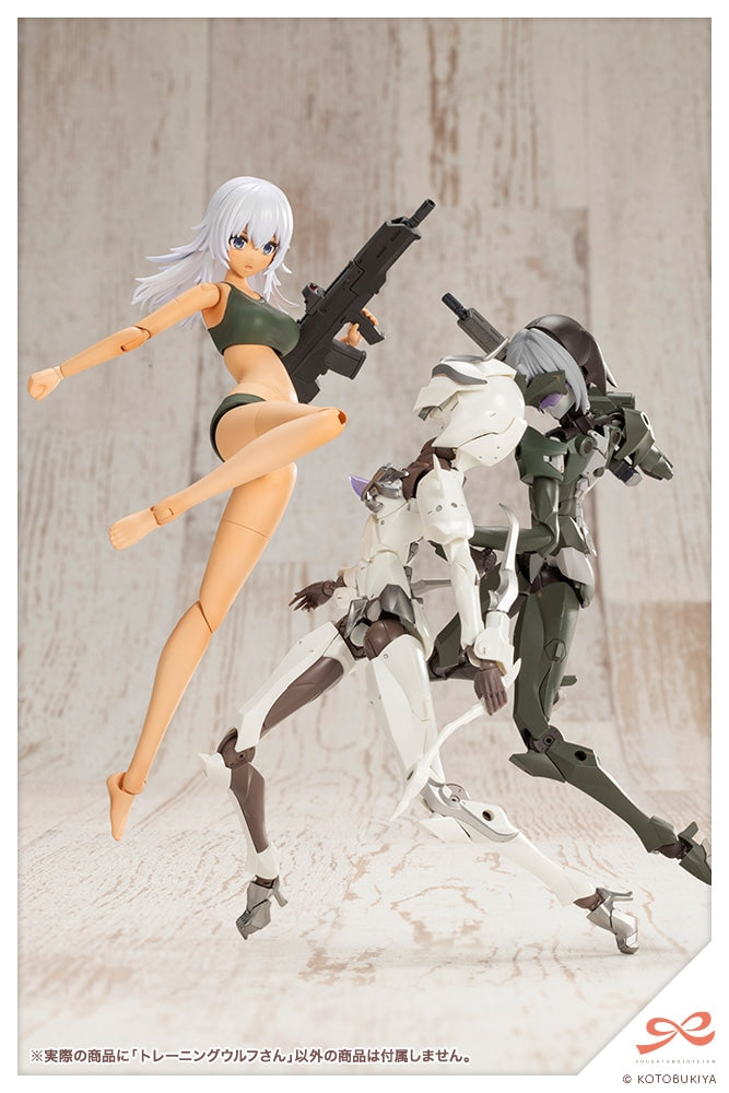 SPECIAL ORDER Kotobukiya - SOUSAISHOJOTEIEN - Training WOLF 1/10 [EXCLUSIVE]