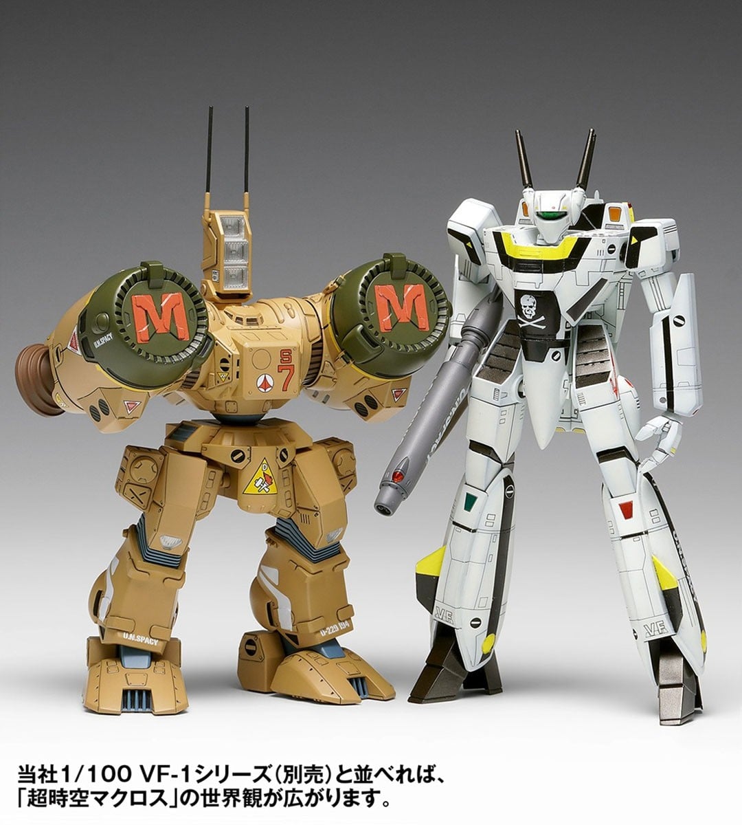 SPECIAL ORDER WAVE - The Super Dimension Fortress Macross - SDR-04-MkXII Phalanx 1/100 [JP]