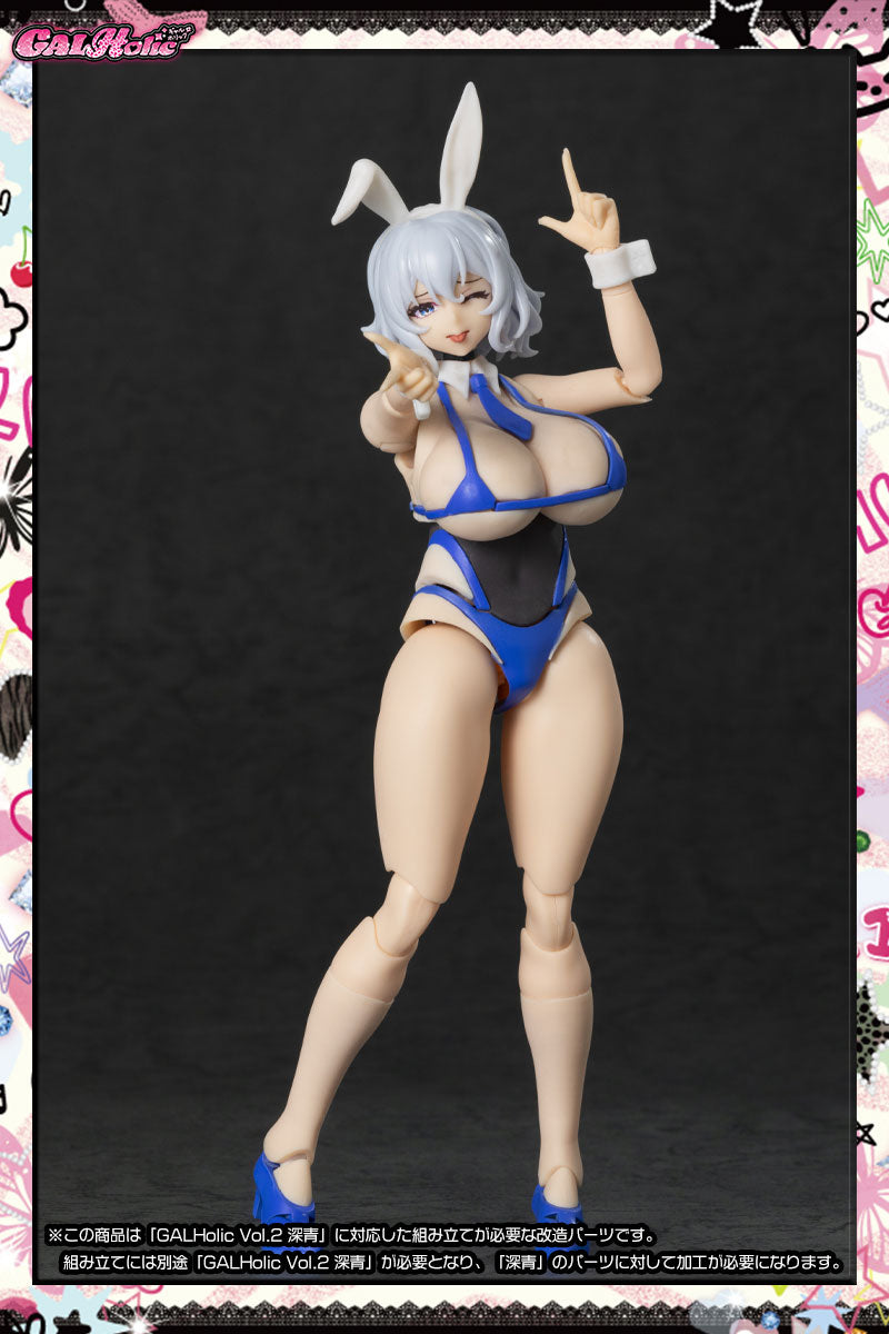SPECIAL ORDER AMAKUNI - GALHolic Vol. 02 - Customize Resin Kit Vol. 03 1/10 [JP]