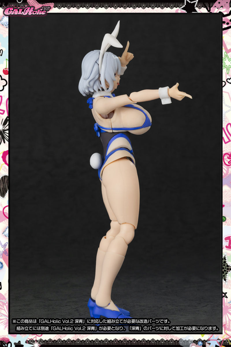 SPECIAL ORDER AMAKUNI - GALHolic Vol. 02 - Customize Resin Kit Vol. 03 1/10 [JP]