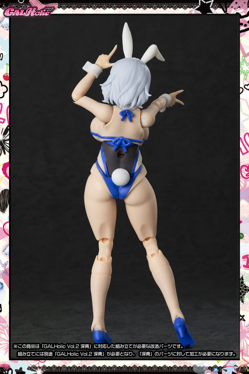 SPECIAL ORDER AMAKUNI - GALHolic Vol. 02 - Customize Resin Kit Vol. 03 1/10 [JP]