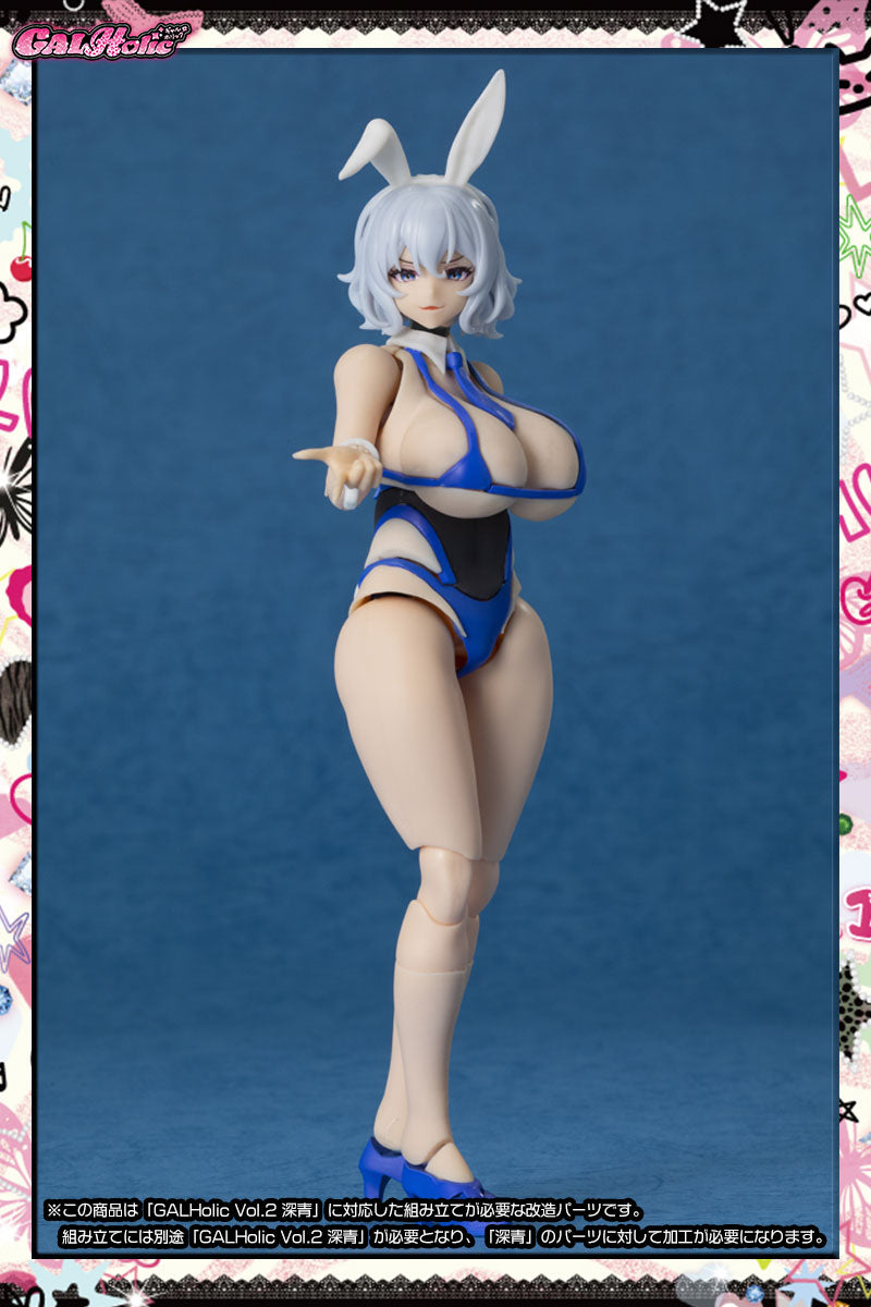 SPECIAL ORDER AMAKUNI - GALHolic Vol. 02 - Customize Resin Kit Vol. 03 1/10 [JP]