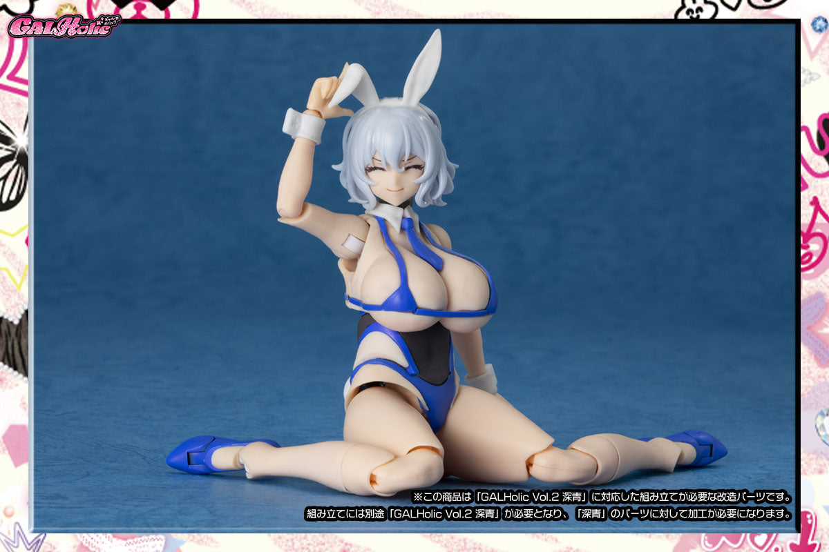 SPECIAL ORDER AMAKUNI - GALHolic Vol. 02 - Customize Resin Kit Vol. 03 1/10 [JP]