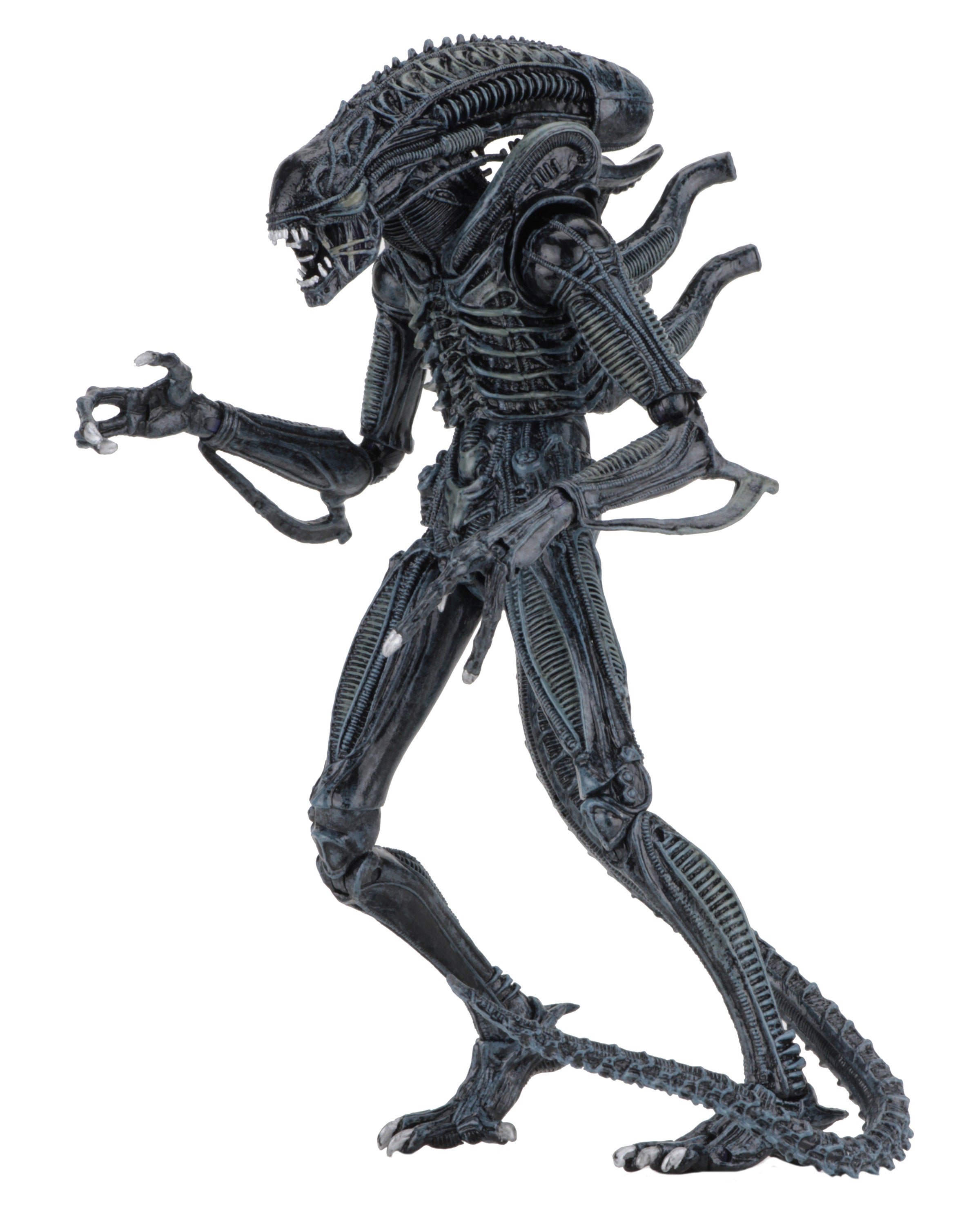 PRE-ORDER NECA - Aliens - Ultimate Aliens Warrior: 1986 Blue