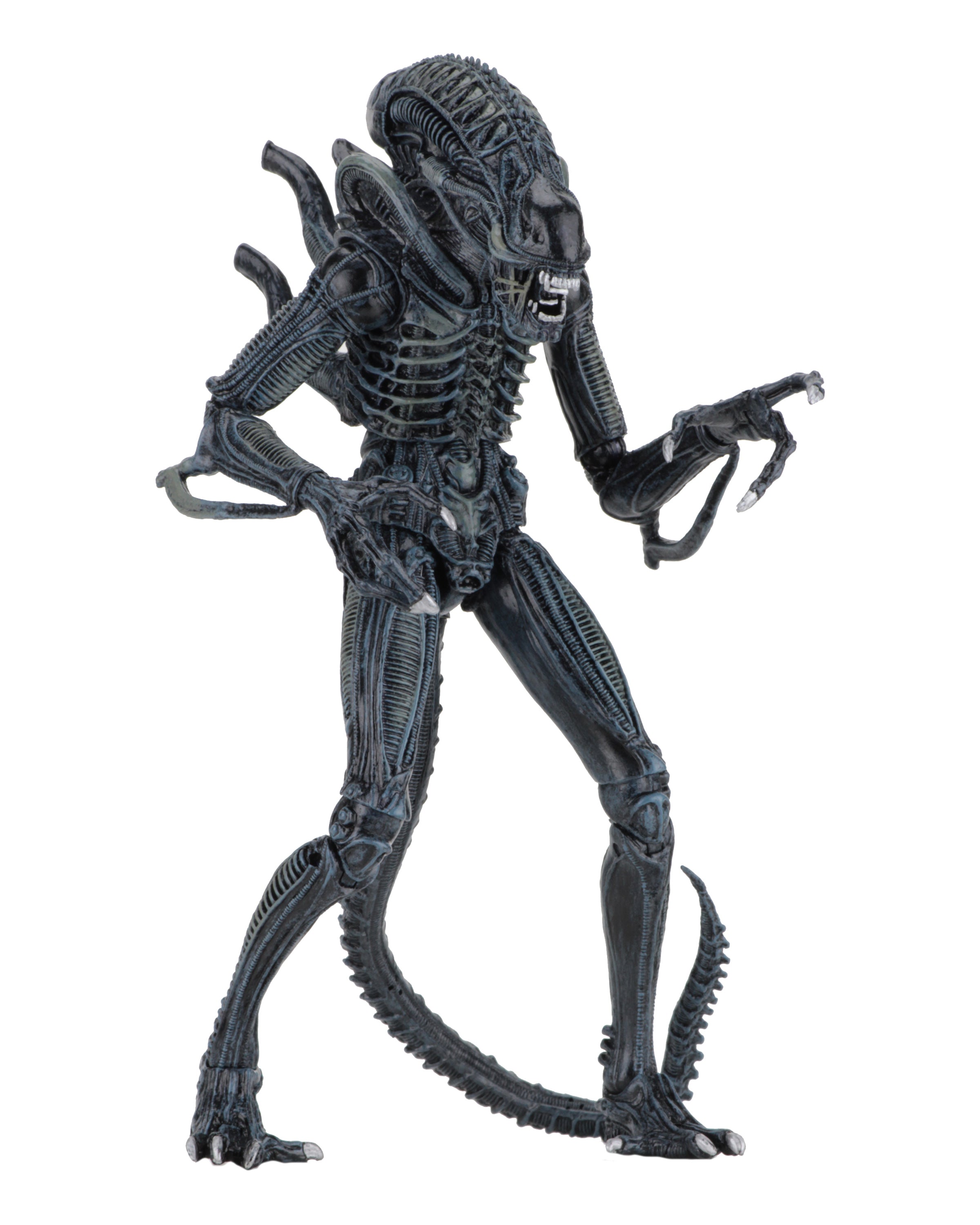 PRE-ORDER NECA - Aliens - Ultimate Aliens Warrior: 1986 Blue