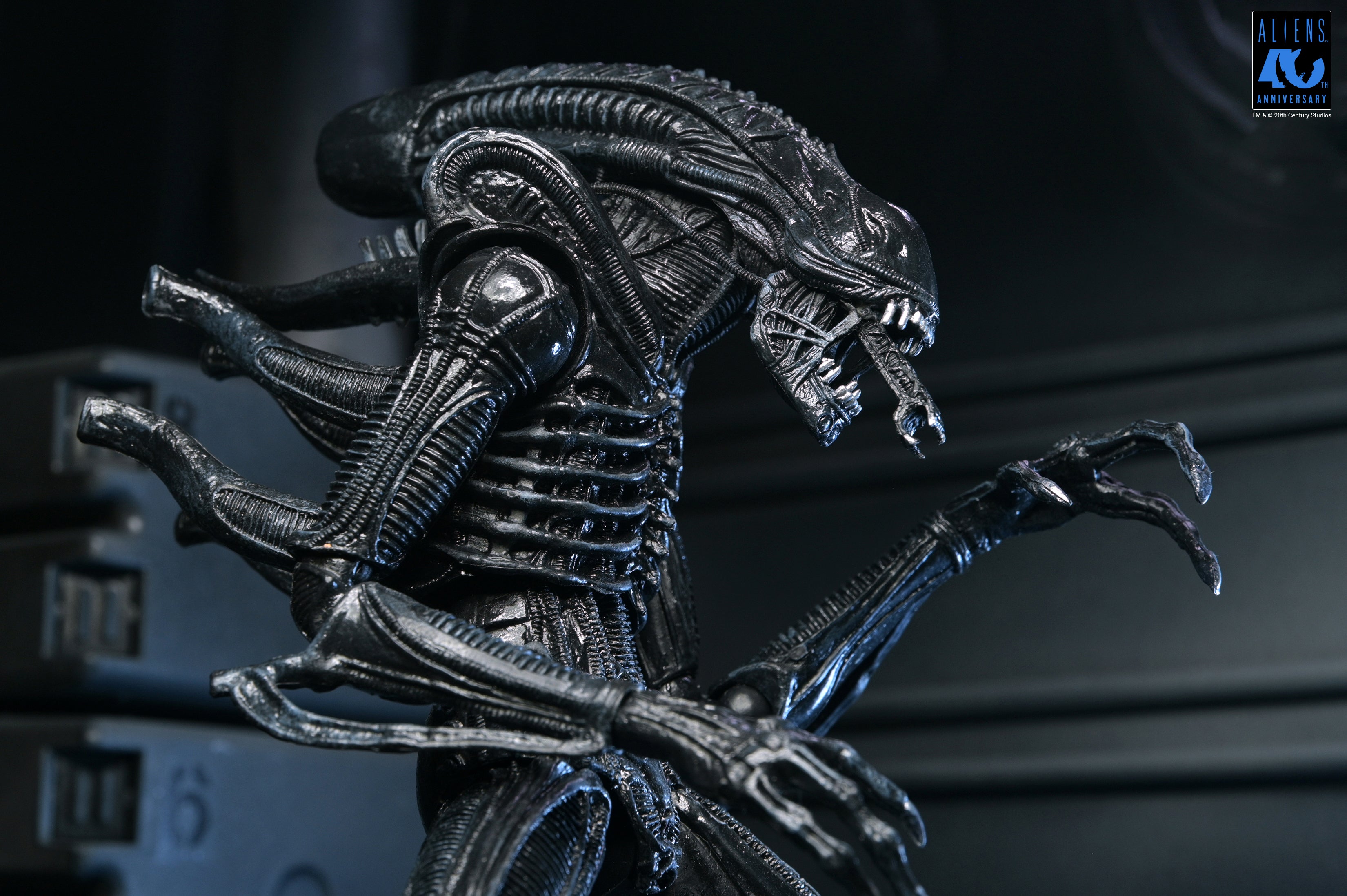 PRE-ORDER NECA - Aliens 40th Anniversary - Ultimate Warrior Xenomorph (Black)