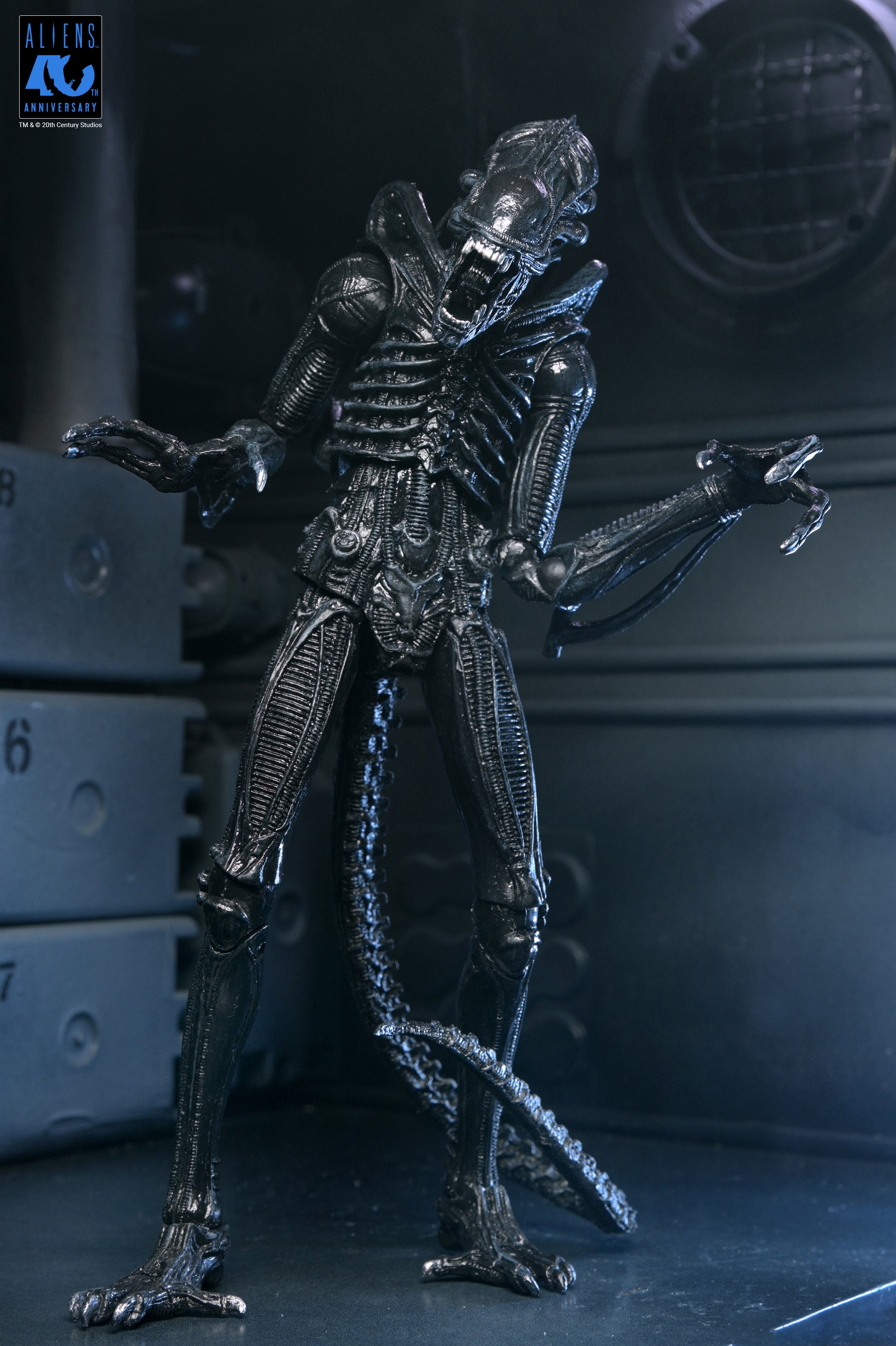 PRE-ORDER NECA - Aliens 40th Anniversary - Ultimate Warrior Xenomorph (Black)