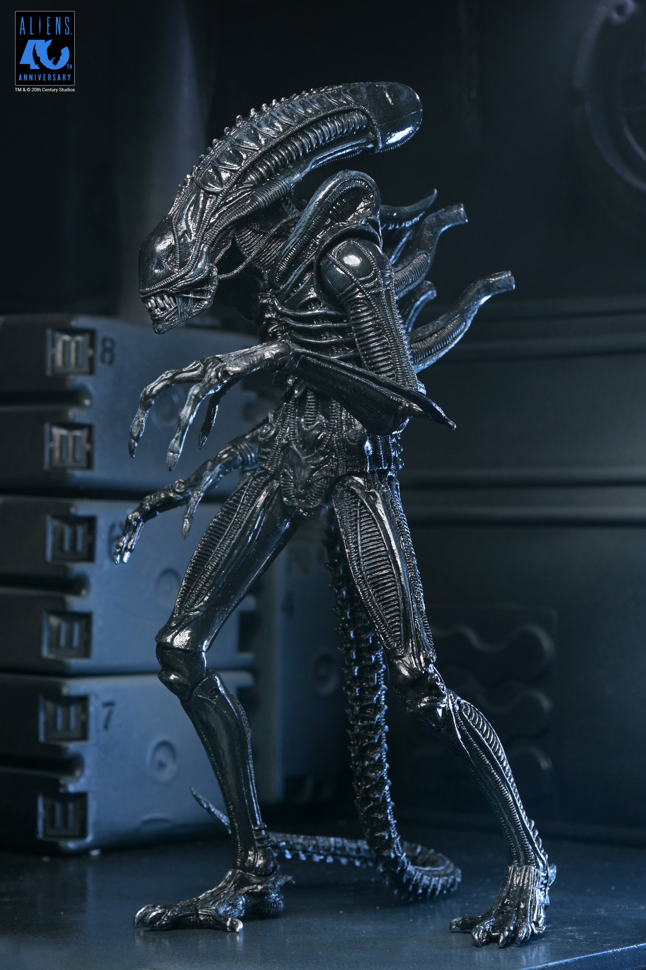 PRE-ORDER NECA - Aliens 40th Anniversary - Ultimate Warrior Xenomorph (Black)
