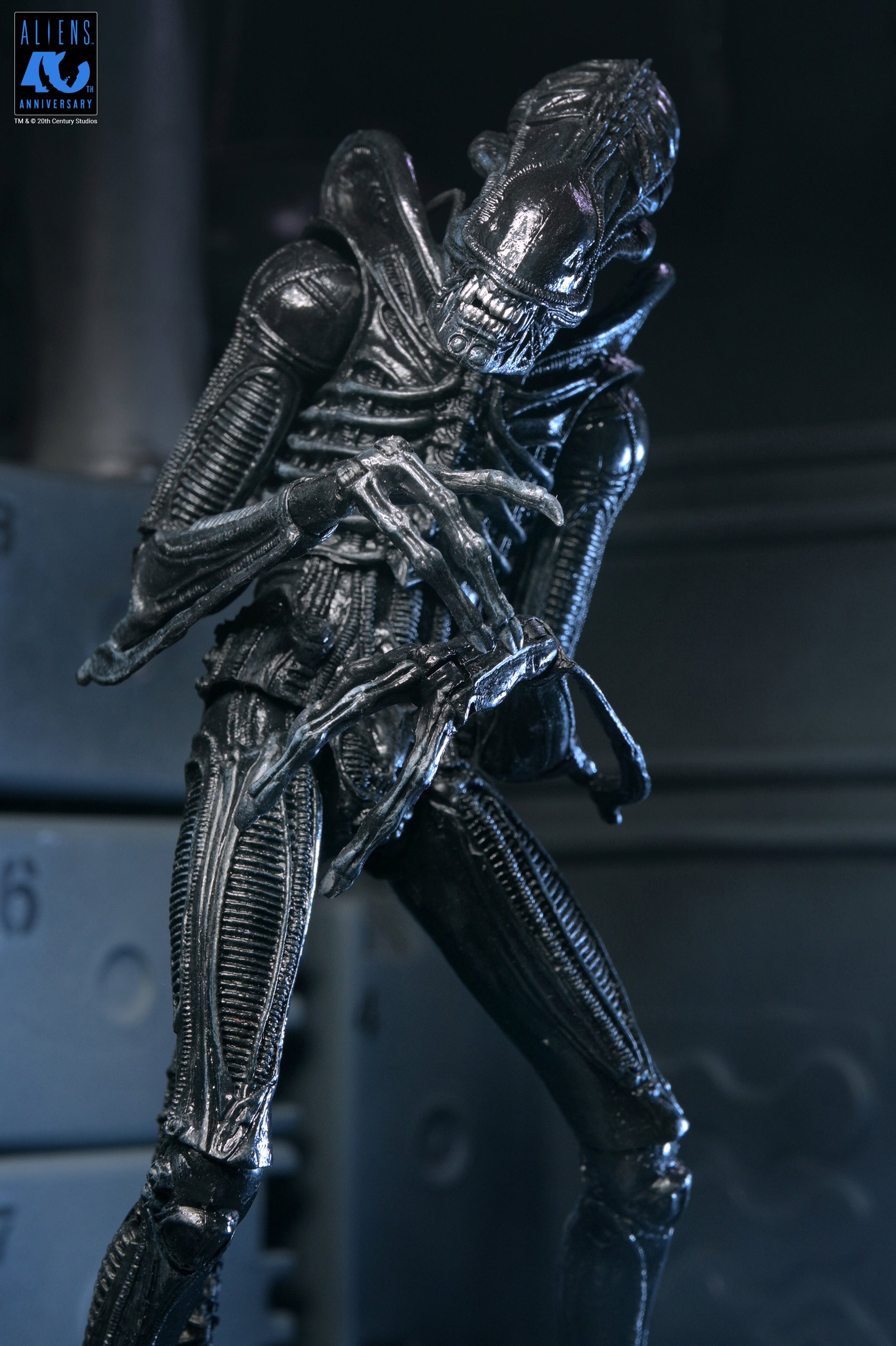 PRE-ORDER NECA - Aliens 40th Anniversary - Ultimate Warrior Xenomorph (Black)