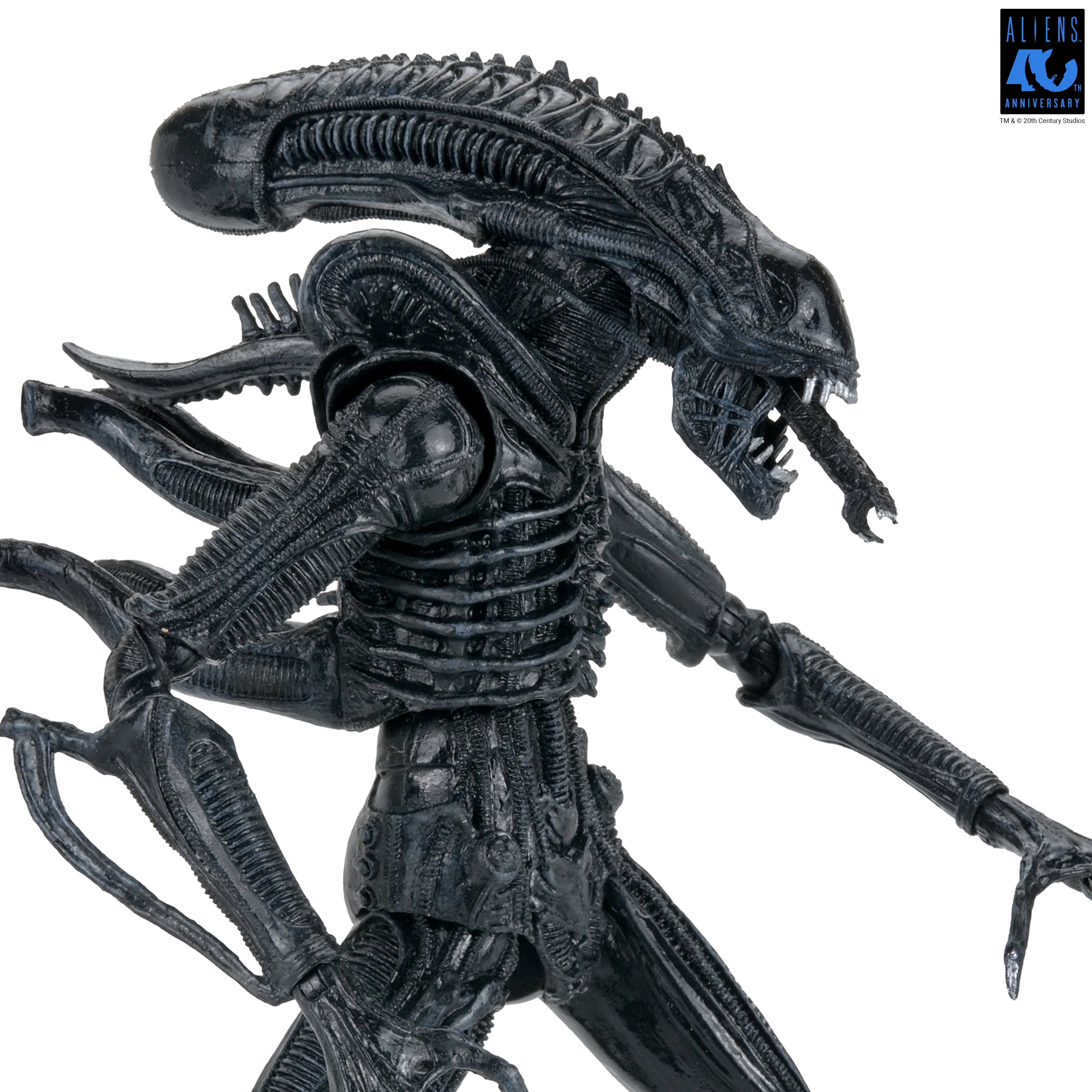 PRE-ORDER NECA - Aliens 40th Anniversary - Ultimate Warrior Xenomorph (Black)