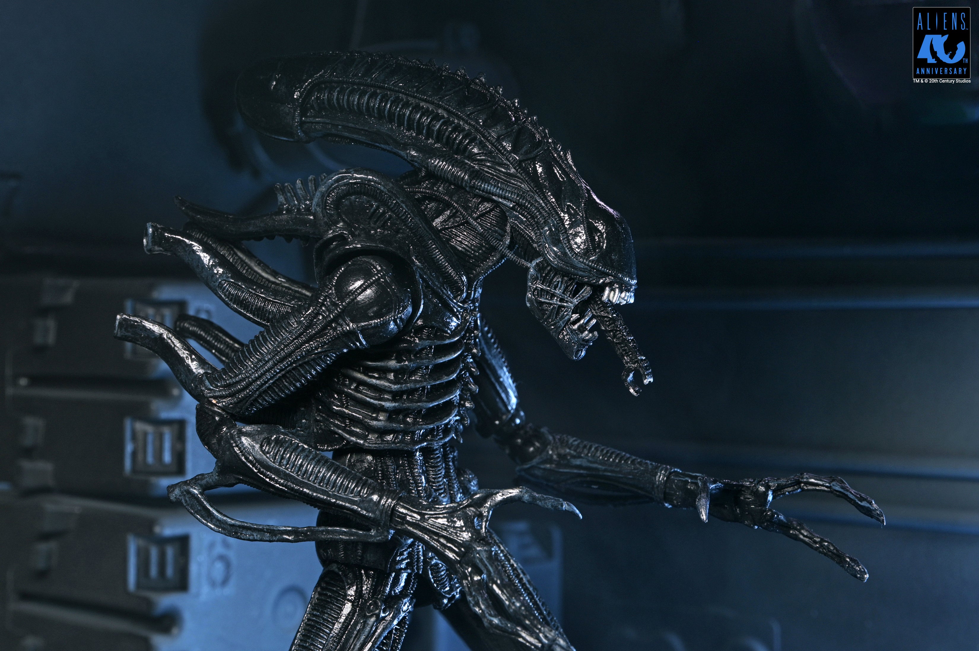 PRE-ORDER NECA - Aliens 40th Anniversary - Ultimate Warrior Xenomorph (Black)