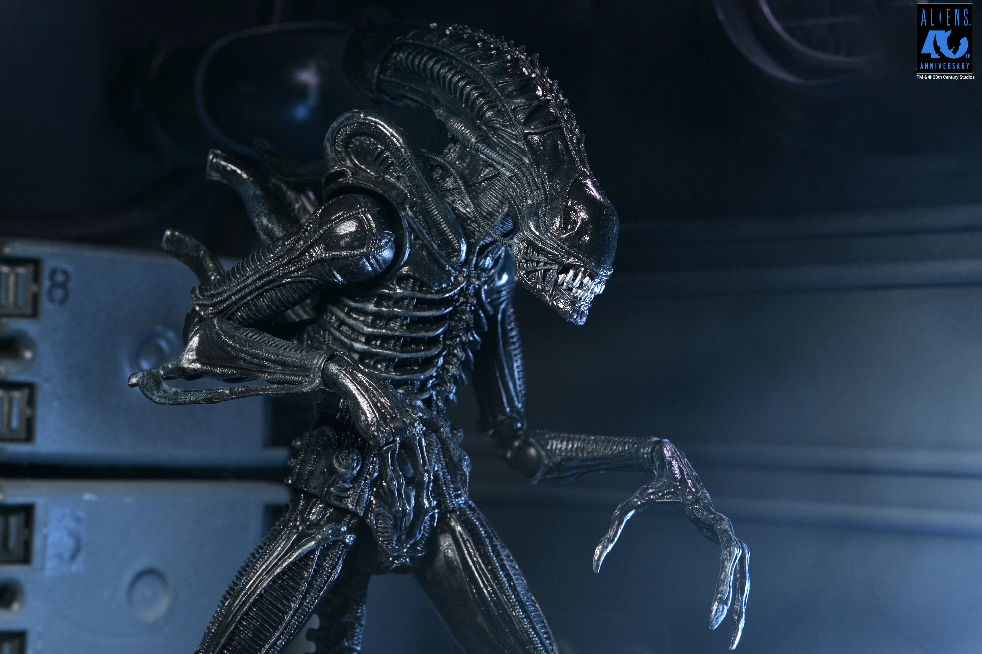 PRE-ORDER NECA - Aliens 40th Anniversary - Ultimate Warrior Xenomorph (Black)