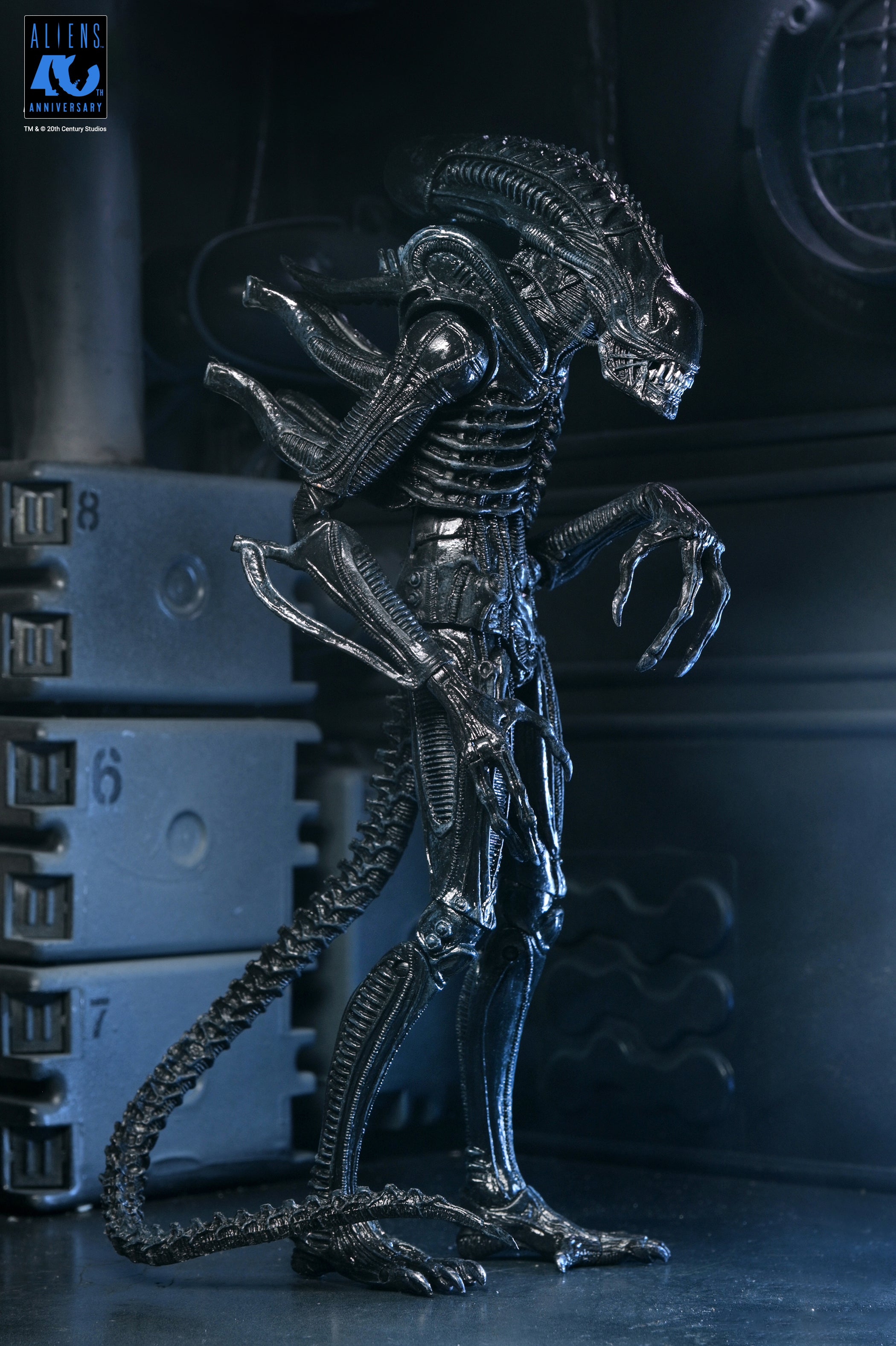 PRE-ORDER NECA - Aliens 40th Anniversary - Ultimate Warrior Xenomorph (Black)