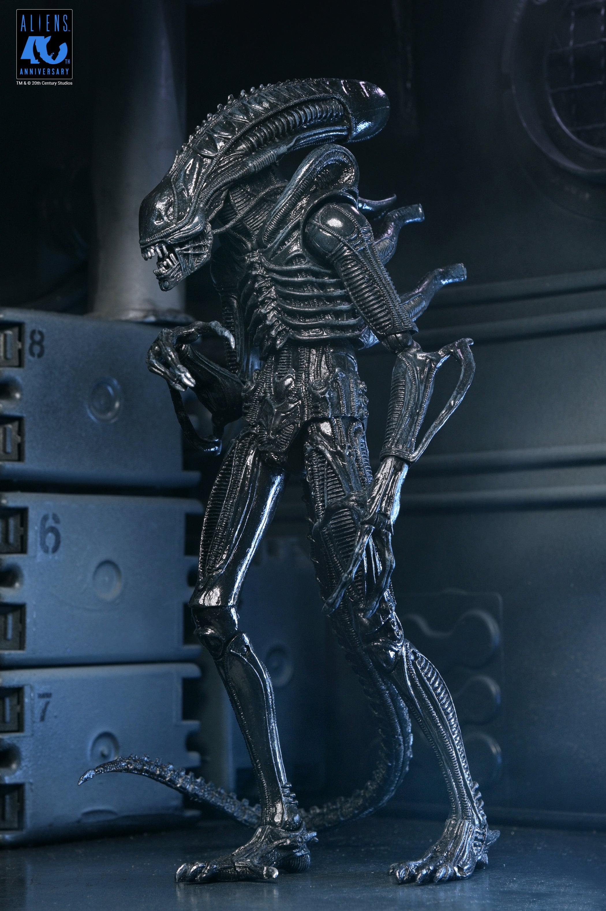 PRE-ORDER NECA - Aliens 40th Anniversary - Ultimate Warrior Xenomorph (Black)