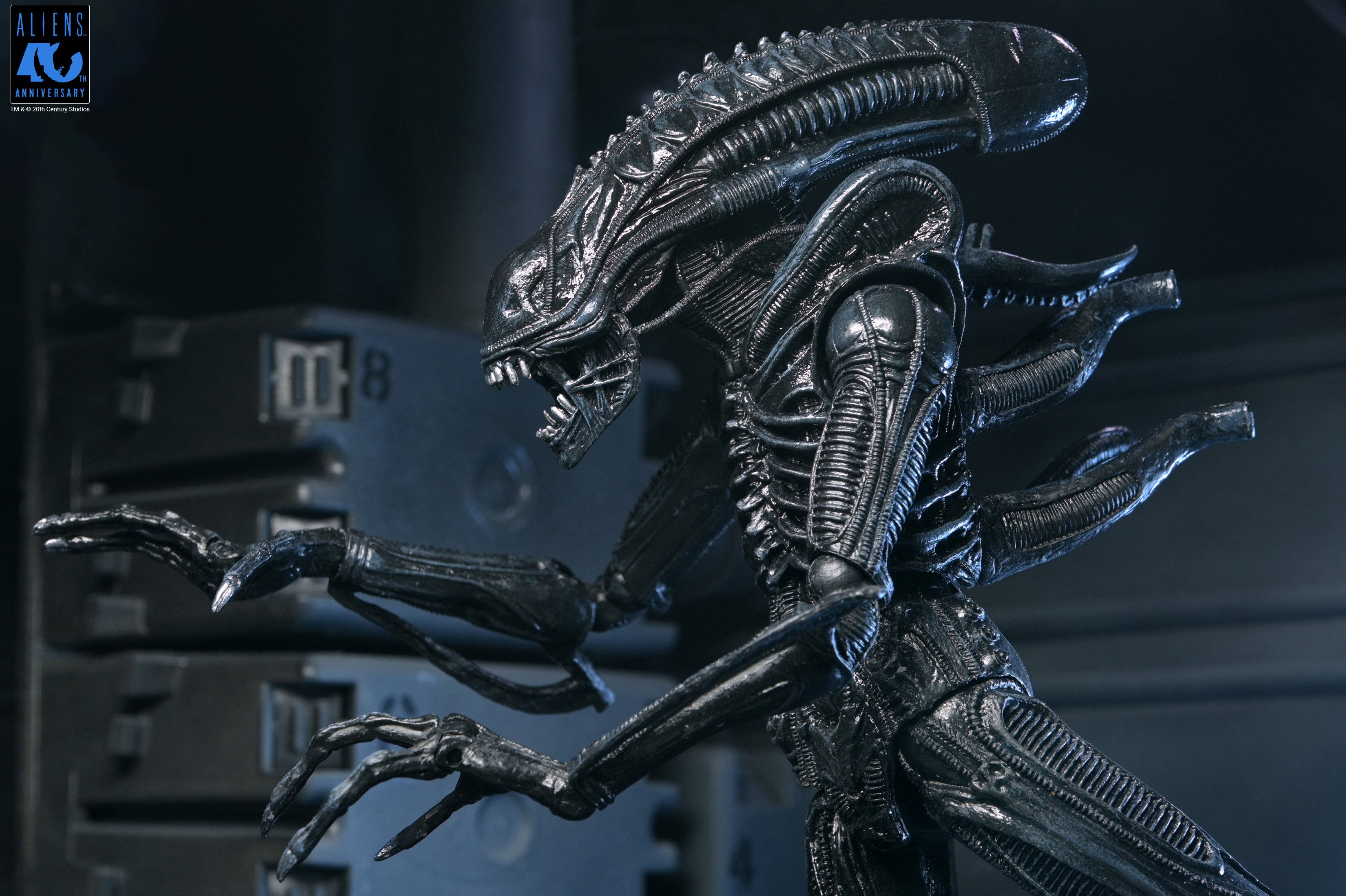 PRE-ORDER NECA - Aliens 40th Anniversary - Ultimate Warrior Xenomorph (Black)