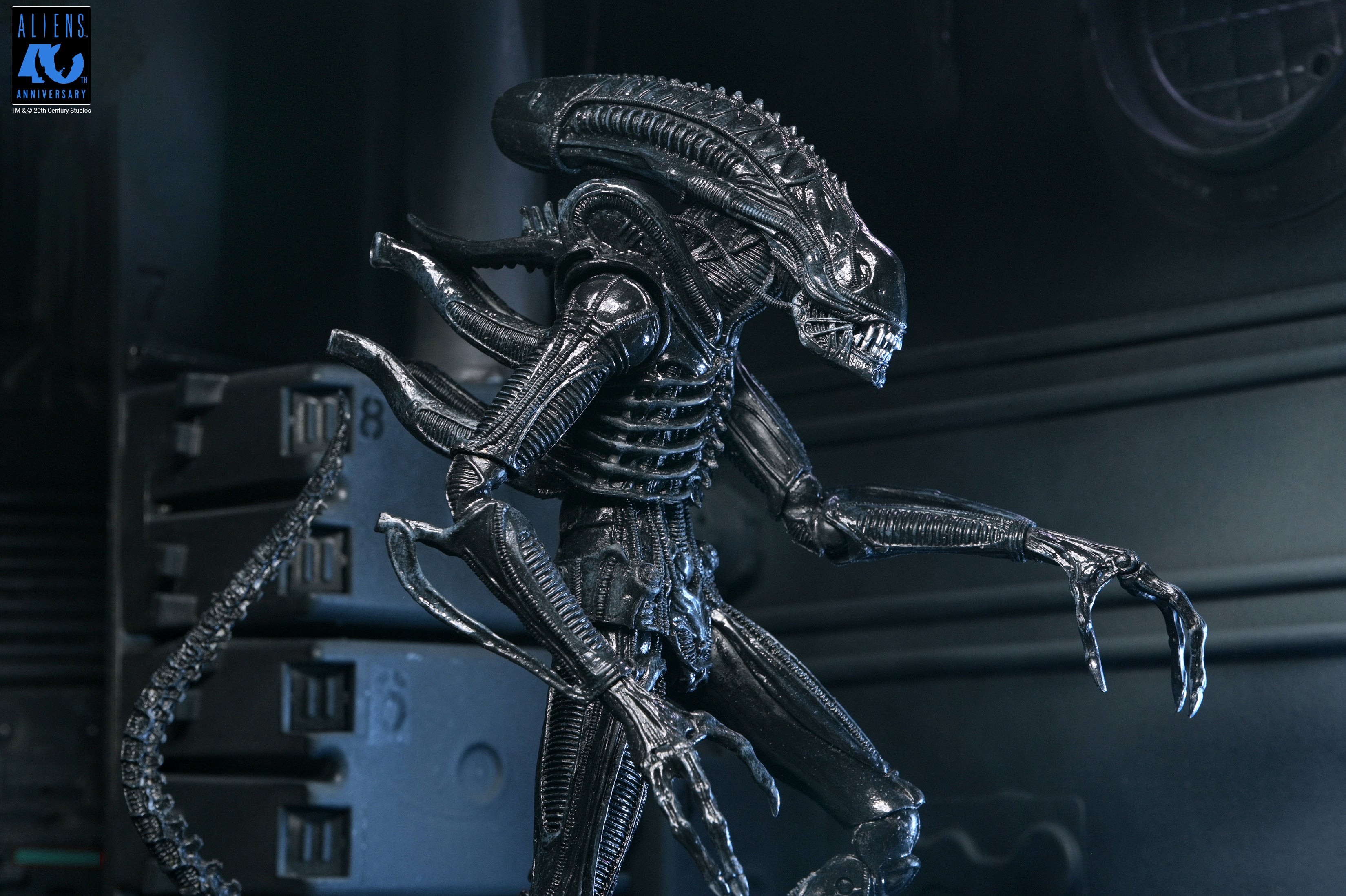 PRE-ORDER NECA - Aliens 40th Anniversary - Ultimate Warrior Xenomorph (Black)