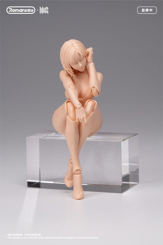 SPECIAL ORDER Romankey - UMS004 - Super Action Female Body 1/12 [JP]