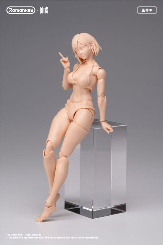 SPECIAL ORDER Romankey - UMS004 - Super Action Female Body 1/12 [JP]