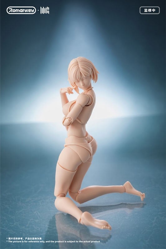 SPECIAL ORDER Romankey - UMS004 - Super Action Female Body 1/12 [JP]