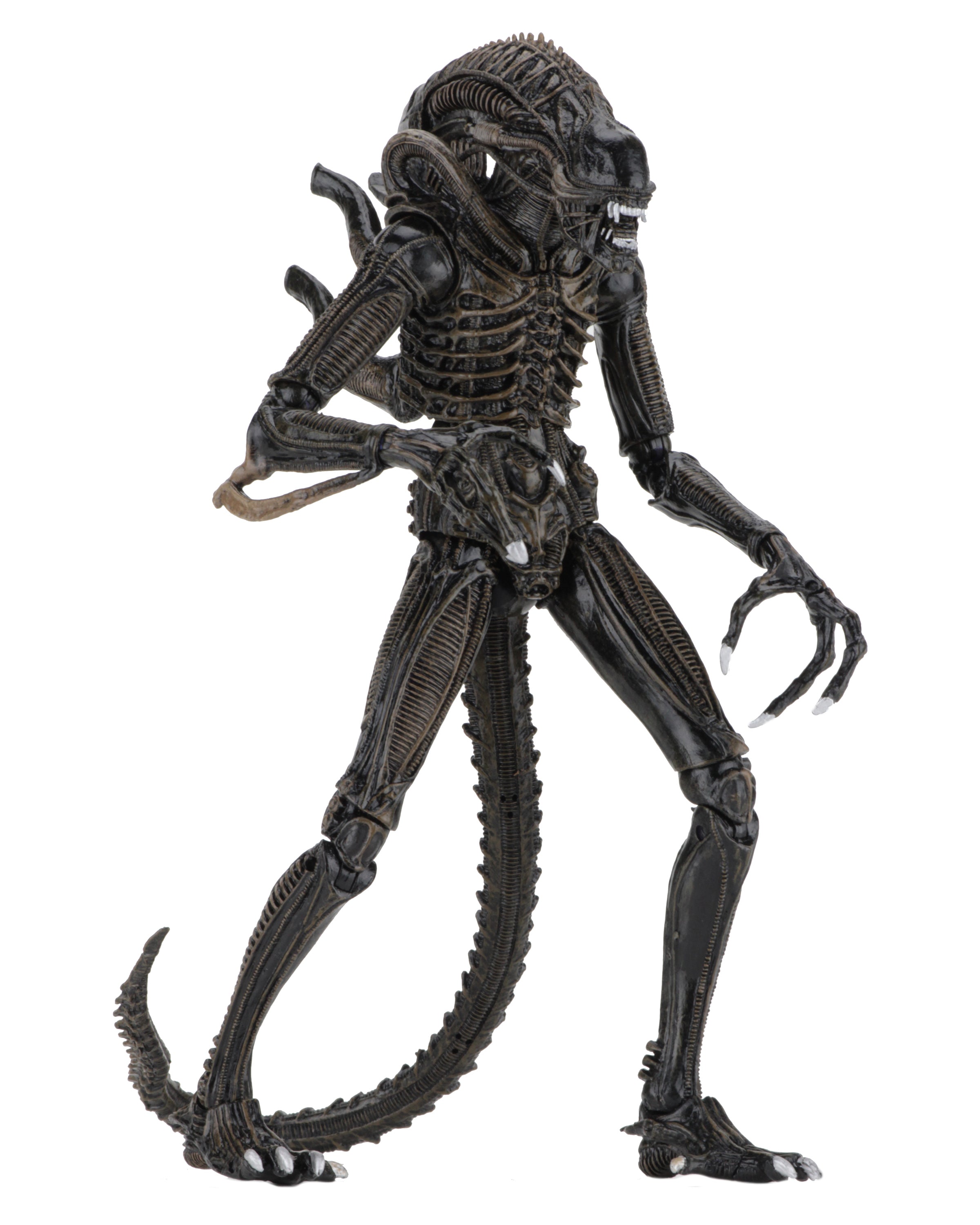 PRE-ORDER NECA - Aliens - Ultimate Aliens Warrior: 1986 Brown