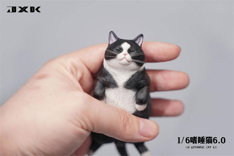 PRE-ORDER Lethargic Cat 1/6
