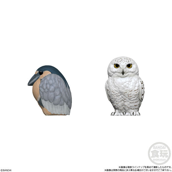 PRE-ORDER Bandai - Tenori Friends 10 [Box of 12]