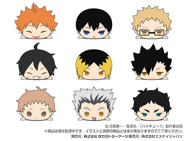 SPECIAL ORDER Takara Tomy A.R.T.S - MochiMochi Mascot WA Haikyuu!! Vol.1 [Box of 9] [JP]