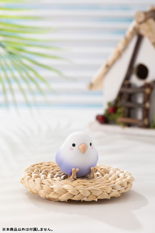SPECIAL ORDER PLZDOT - Kotori Taroko Mini Series [Box of 6] [JP]