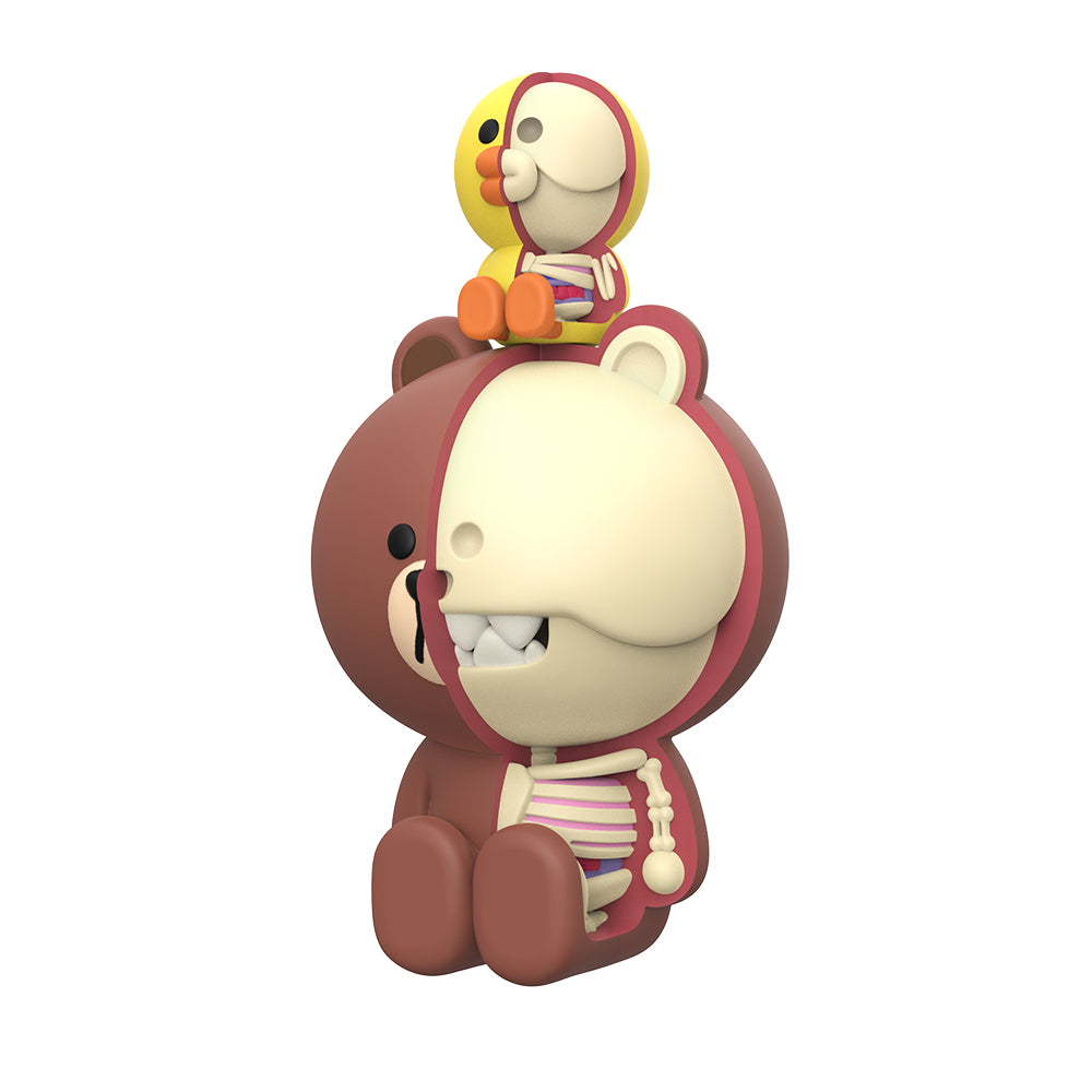 PRE-ORDER XXRAY PLUS - Brown and Sally
