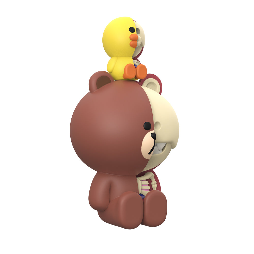 PRE-ORDER XXRAY PLUS - Brown and Sally