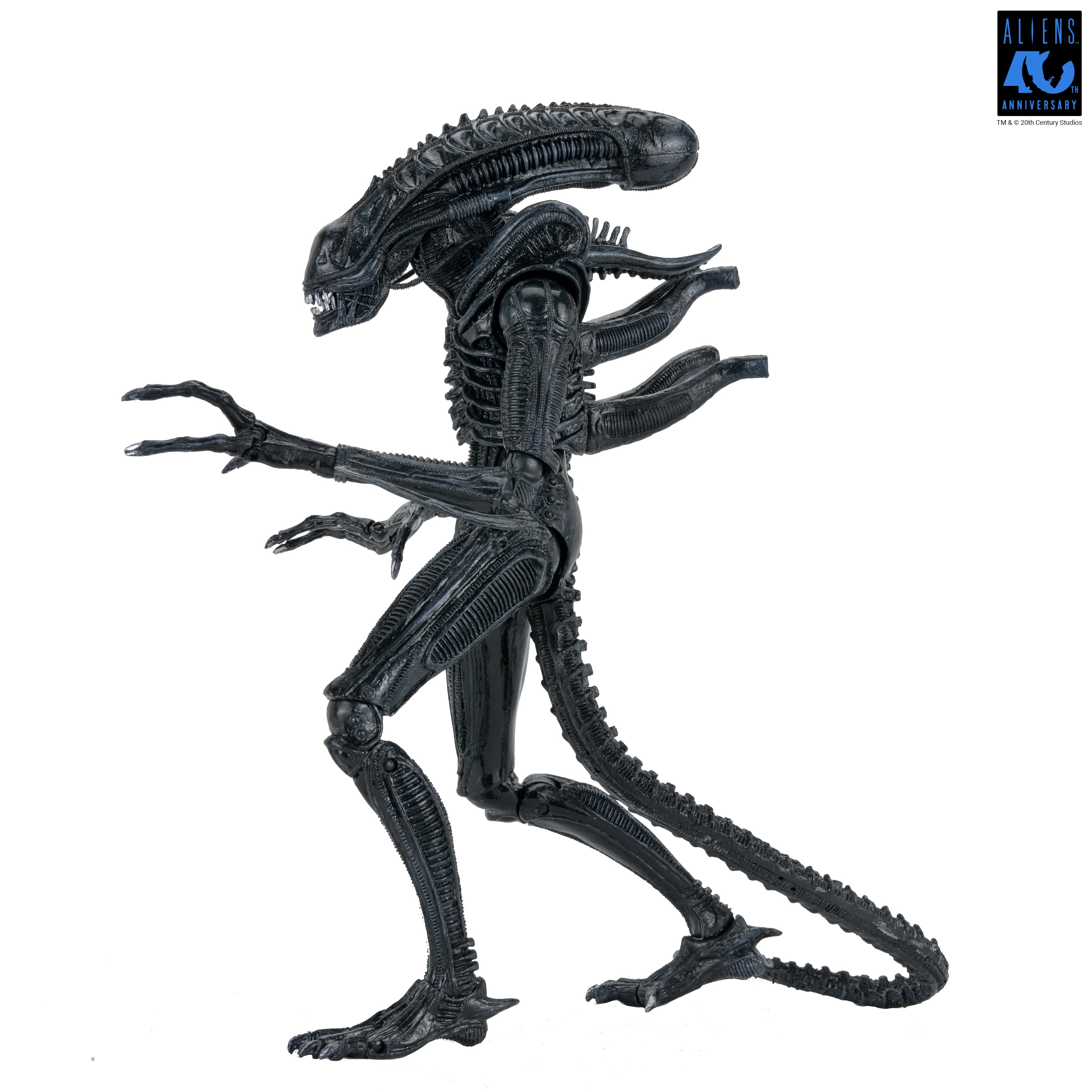 PRE-ORDER NECA - Aliens 40th Anniversary - Ultimate Warrior Xenomorph (Black)