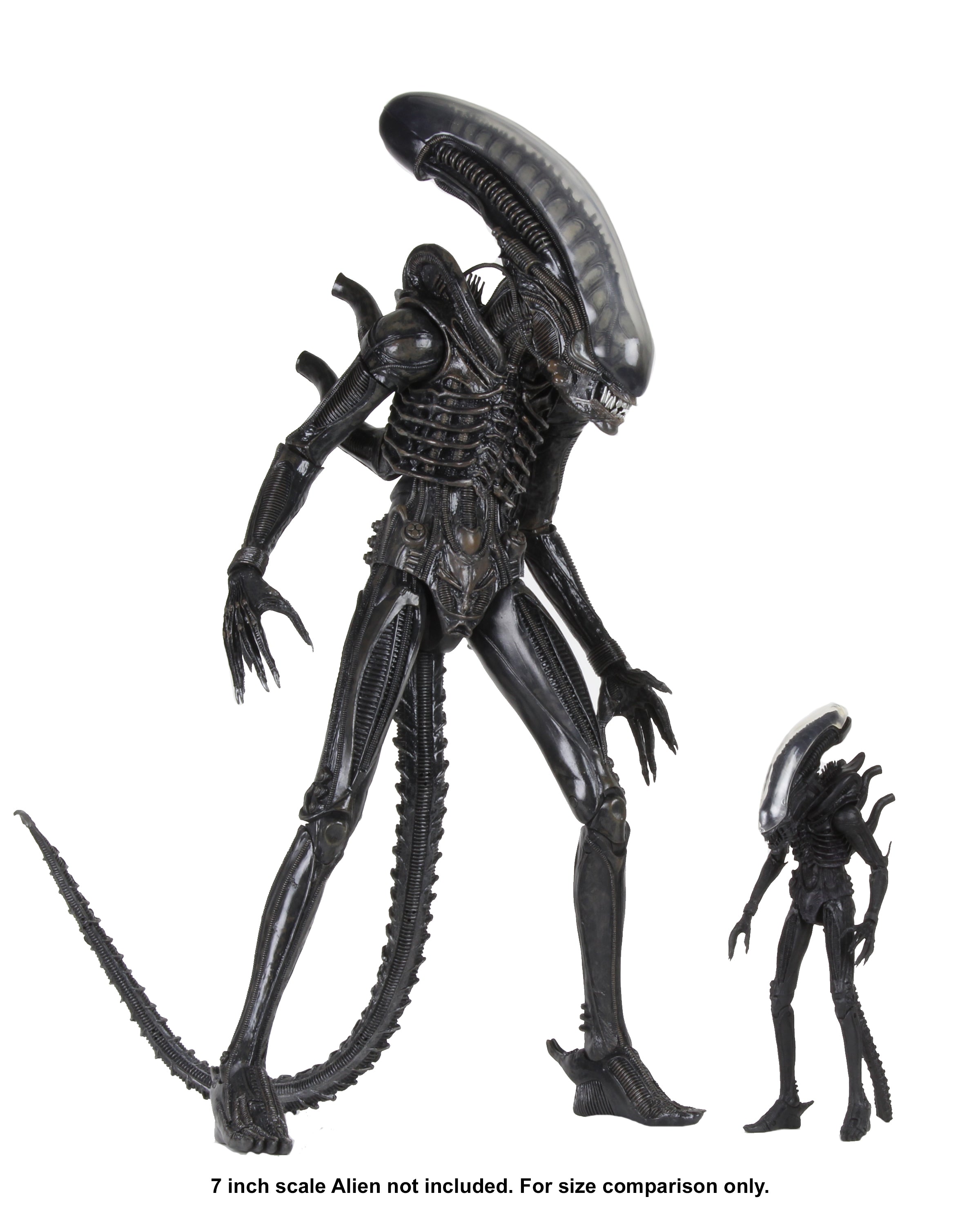 PRE-ORDER NECA - Aliens - Big Chap 1/4 [September 2026]