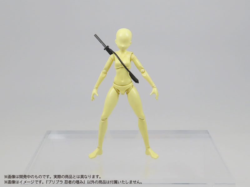 SPECIAL ORDER DIG - Pripra - Ninja no Tashinami 1/12 [JP]