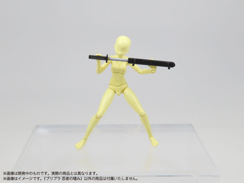 SPECIAL ORDER DIG - Pripra - Ninja no Tashinami 1/12 [JP]