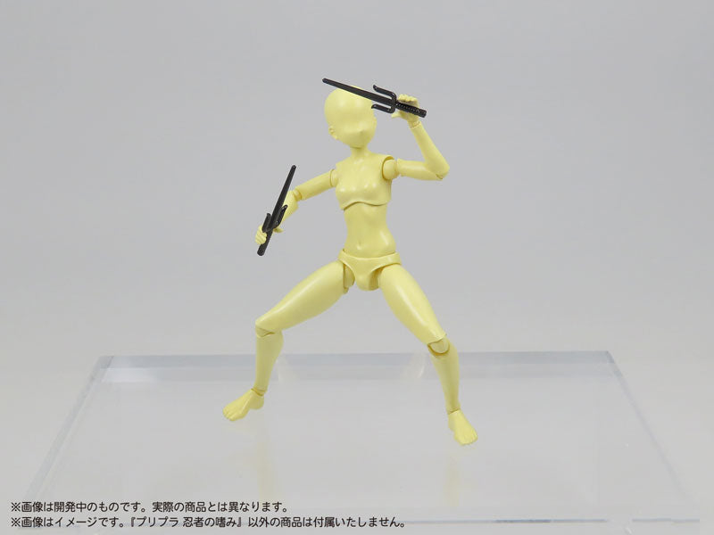 SPECIAL ORDER DIG - Pripra - Ninja no Tashinami 1/12 [JP]