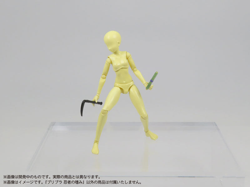 SPECIAL ORDER DIG - Pripra - Ninja no Tashinami 1/12 [JP]