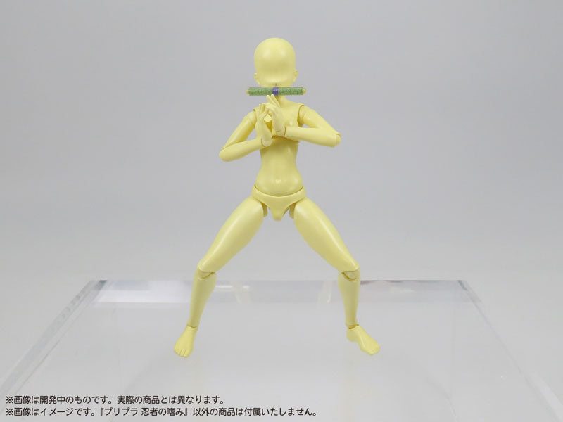 SPECIAL ORDER DIG - Pripra - Ninja no Tashinami 1/12 [JP]