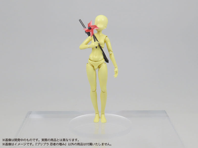 SPECIAL ORDER DIG - Pripra - Ninja no Tashinami 1/12 [JP]