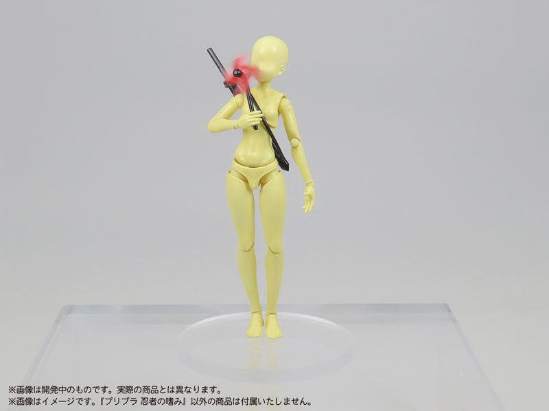 SPECIAL ORDER DIG - Pripra - Ninja no Tashinami 1/12 [JP]