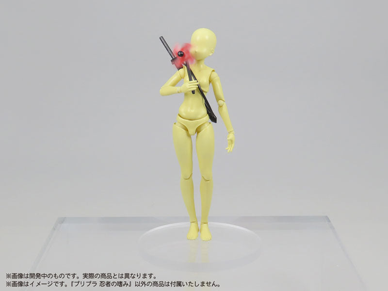 SPECIAL ORDER DIG - Pripra - Ninja no Tashinami 1/12 [JP]