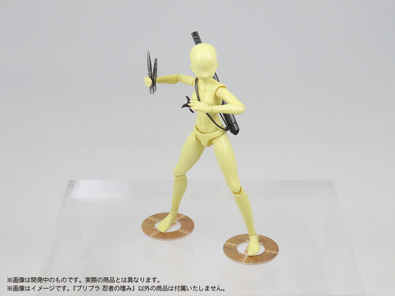 SPECIAL ORDER DIG - Pripra - Ninja no Tashinami 1/12 [JP]