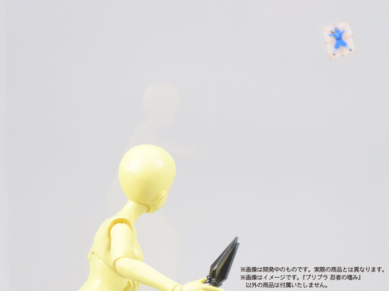 SPECIAL ORDER DIG - Pripra - Ninja no Tashinami 1/12 [JP]
